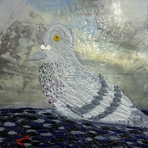 Pigeon on the Water