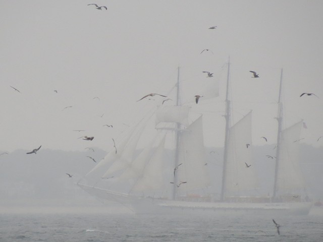 Foggy Schooners with Birds