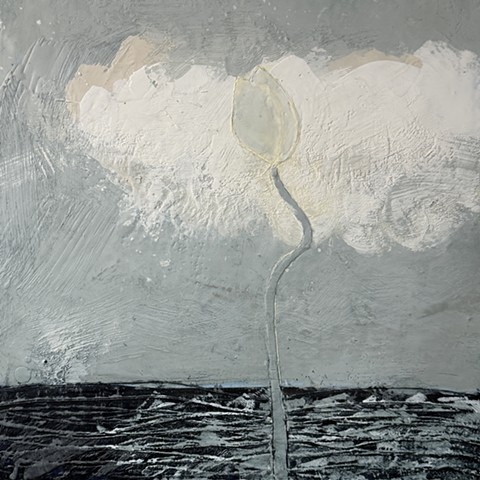 White Tulip with Cloud