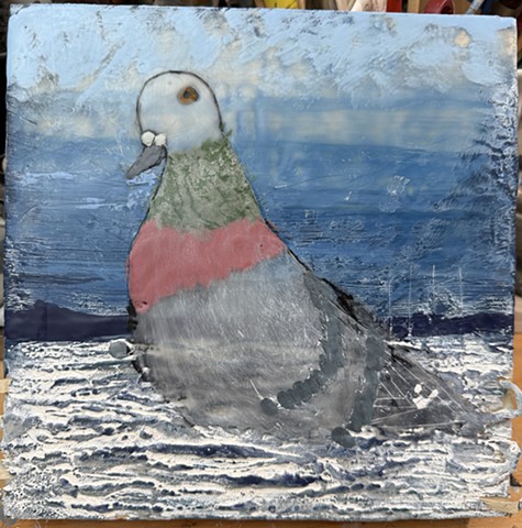 Pigeon in the Water