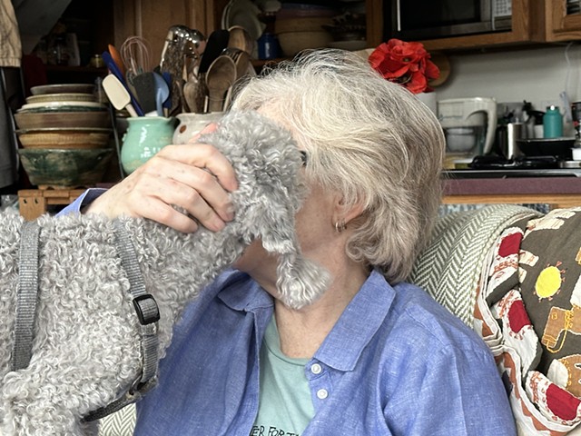 Brain Meld