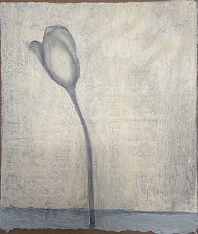 One Tulip