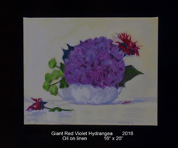 Giant Red Violet Hydrangea