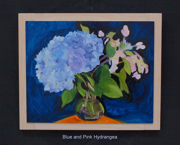 Blue and Pink Hydrangea