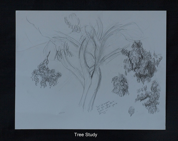 Tree Study