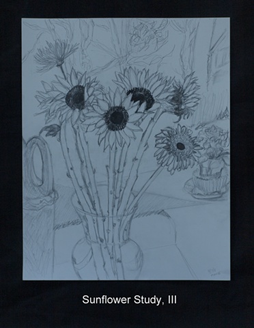 Sunflower Study, III