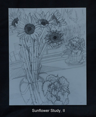 Sunflower Study, II