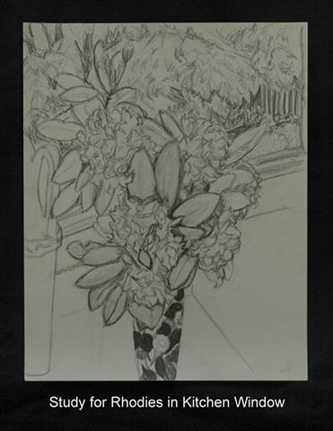 Study for Rhodies in Kitchen Window