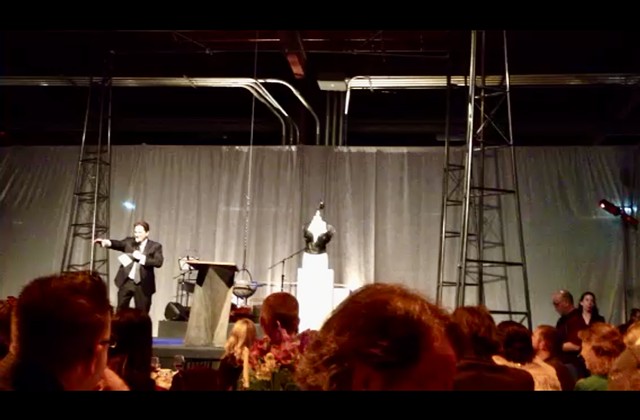 Fire and Light Soirée Live Auction!-blurry still from video lol