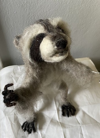Raccoon