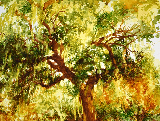 Art Plantation Tree Savannah Watercolor by Ian Crawley