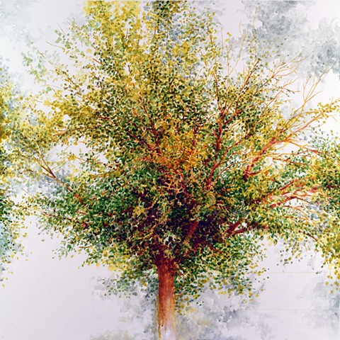Art Tree Watercolor Painting by Ian Crawley