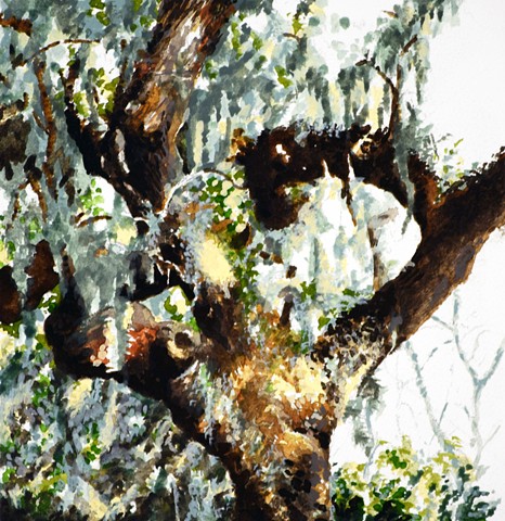 Art Savannah Tree Watercolor study by Ian Crawley