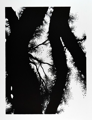 Ian Crawley Art Tree Branch Abstract Ink Drawing