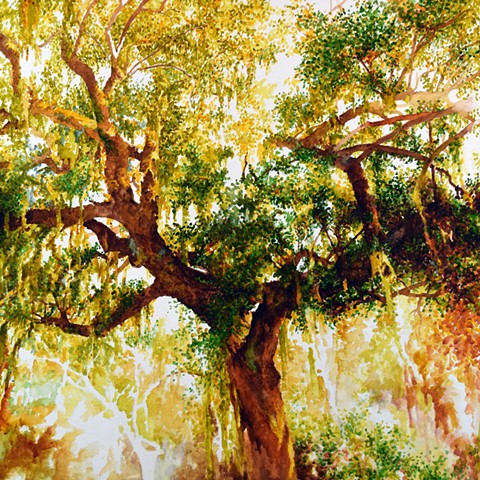 Art Plantation Tree Savannah Watercolor by Ian Crawley