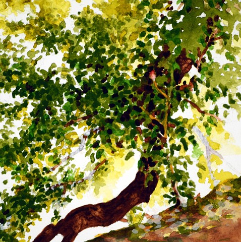 Art Savannah Tree Watercolor Study by Ian Crawley