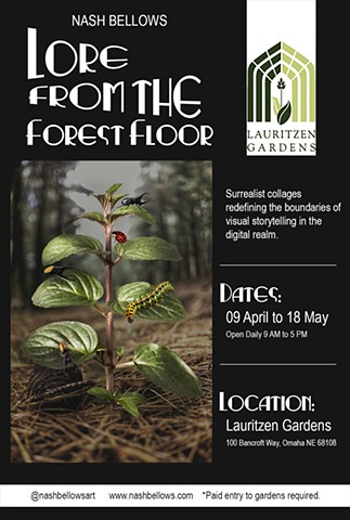 Lore From The Forest Floor Card Design