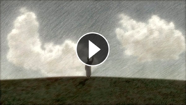 The Kite