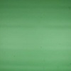 GREEN SCREEN 1