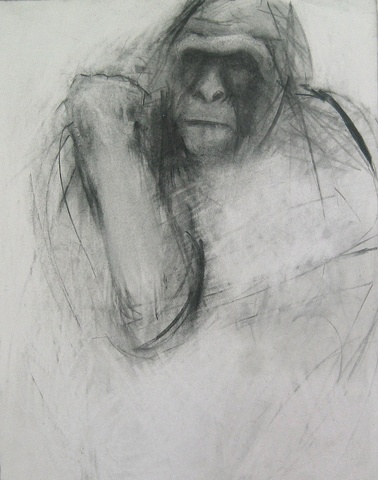 Gorilla Drawing #18 (Gigi) Collection of Nancy Carignan