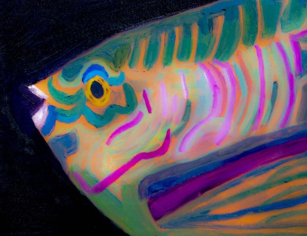 Parrotfish #3