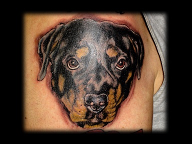 rottweiler dog portrait tattoo by tatupaul