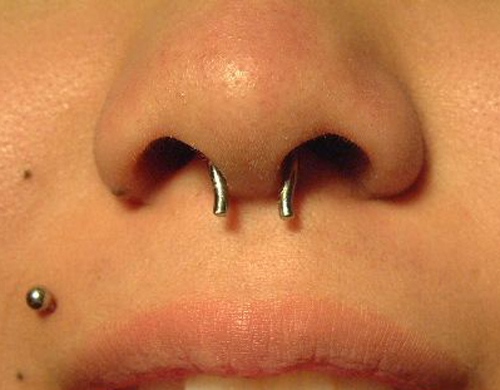 septum piercing by tatupaul
