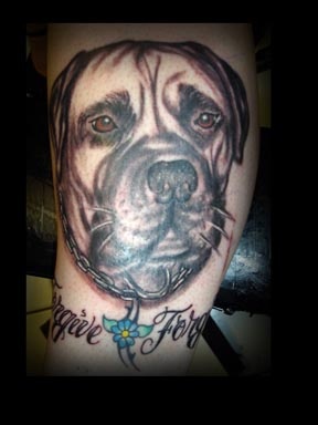 mastiff dog tattoo by tatupaul
