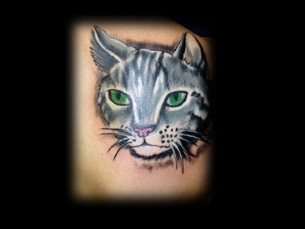 realistic cat tattoo by tatupaul