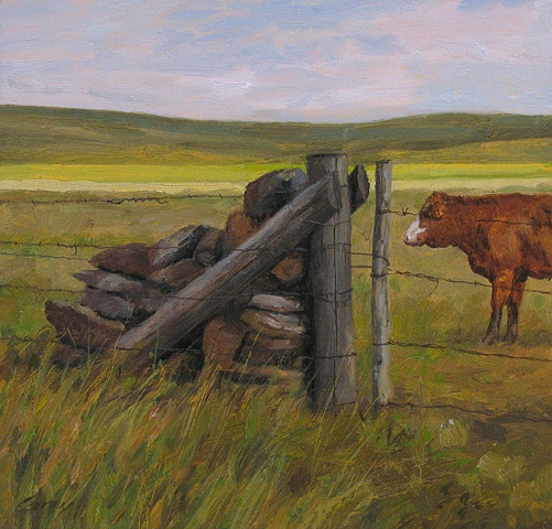Landscape with Hereford cow and rock jack fencepost, gate.