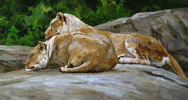 lions, zoo, animal_art, wildlife_art