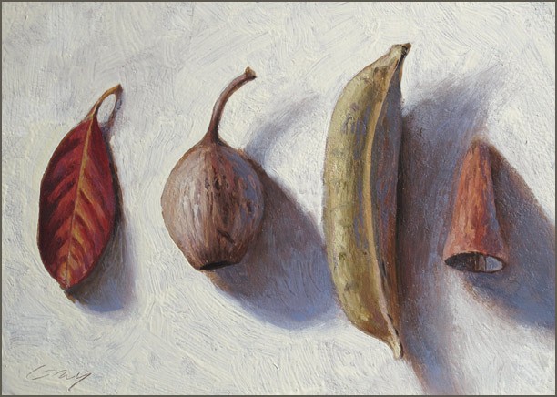 still life, nature, seed_pods, leaves