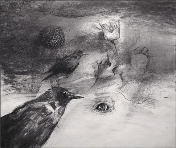 drawing, charcoal, crow, bird, nature, plants, abstract, figurative, dream, dream-like, graphic