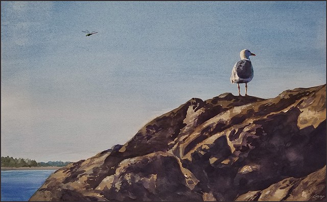 realist, watercolor, landscape, seagull, dragonfly, traditional_art, representational_art, realism, ocean, rocks