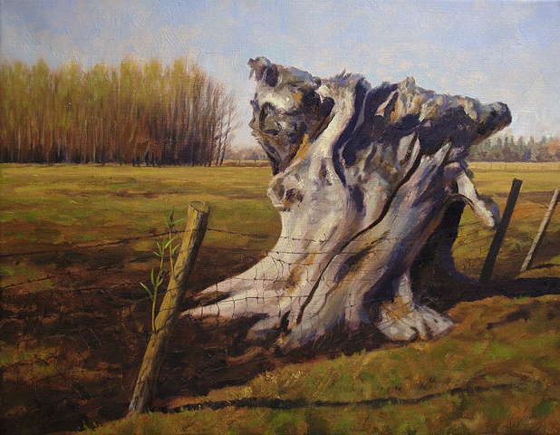 Early spring landscape with fencerow, large dead willow stump.
