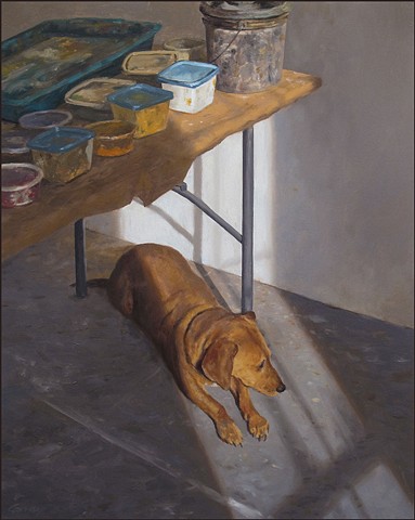 dog, pet, animal, studio, table, paint, sunlight