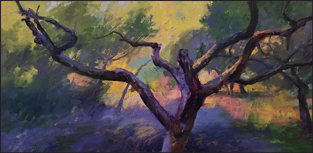 semi-abstract, representational_art, realism, landscape, france, provence, trees, olive_trees, contemporary, painterly