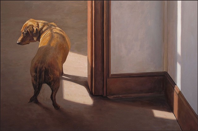 animal, pet, dog, indoors, doorway, sunlight, shadows