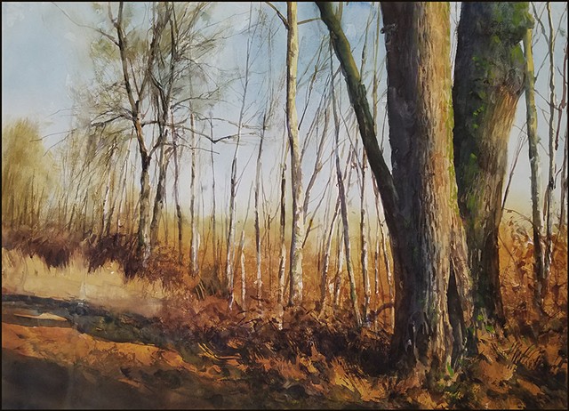 watercolor, nature, trees, oak tree, sunlight, landscape, realist