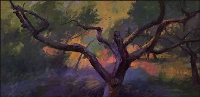 semi-abstract, representational_art, realism, landscape, france, provence, trees, olive_trees, contemporary, painterly