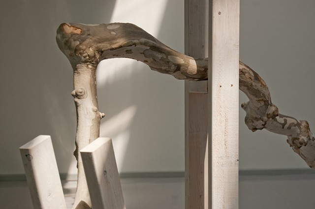 Heather Brammeier sculpture found object sycamore
