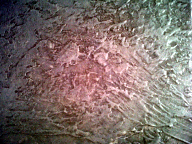 Aged Textured Fresco 