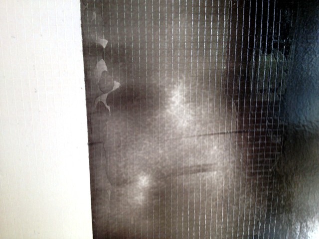 Ireidescent Screen Texture