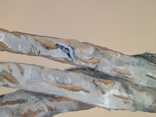 Birch tree detail 