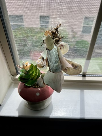 Shell Fairy