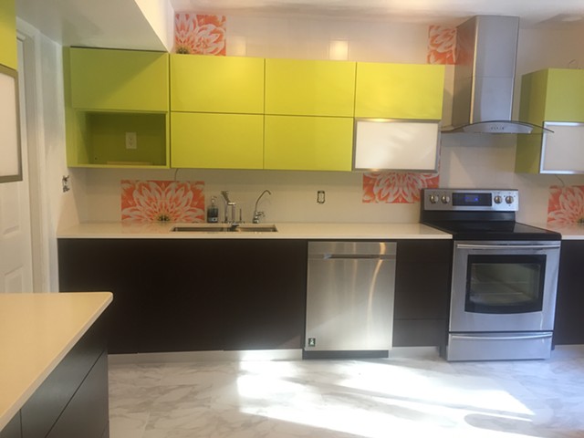 Modern painted cabinets 