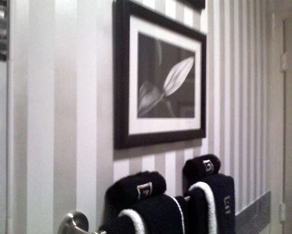 Metallic Stripes 