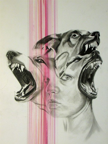 portrait, wolves, dogs, snarl, growl, slobber, tongues, teeth, bold, brave, strong, stoic, beautiful, pink, powerful, explosion, fear, surreal, denver, contemporary, drawing, graphite, black and white, bite, german shepherd, streaks, drips