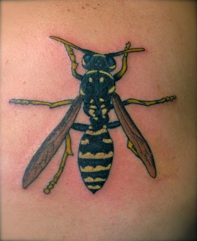 Bug Tattoo steven williamson tattoo artist providence rhode island (ri) tattoo Rhode Island Providence