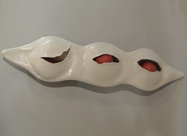 Red Seeds enclosed in Pod